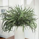 Caules de eucalipto secos HIAGROW 20 unidades de 43 cm para decoração