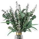 Caules de eucalipto secos HIAGROW Mixed 15 unidades para decoração