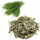 Cavalinha 200g Londriervas