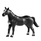 Cavalo preto vb167 vinil db play