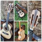 Cavaquinho Faia/Maple Maciço