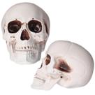 Caveira de Halloween, modelo Sratte, plástico adulto, 20 cm, 2 peças