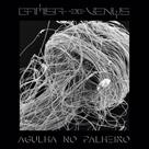 Cd camisa de vênus - agulha no palheiro