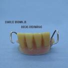 CD CHARLIE BROWN JR . - Bocas Ordinárias