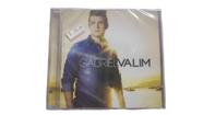 cd gabriel valim*/ 2013