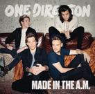 CD One Direction Made In The A.M. Novo