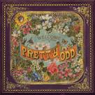 Cd panic! at the disco - pretty. odd