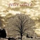 Cd - Peter Cetera / Another Perfect World