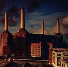 Cd pink floyd - animals