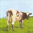 CD Pink Floyd - Atom Heart Mother - 953093