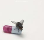 CD Red Hot Chili Peppers - Im With You Original
