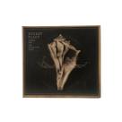 Cd robert plant lullaby and... the ceaselerss roar Cd robert plant lullaby and... the ceaselerss roar