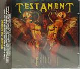 CD Testament - The Gathering ACRÍLICO