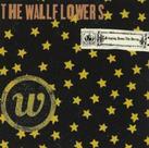 Cd The Wallflowers - Bringing Down The Horse - ESTOJO ACRÍLICO - LACRADO