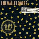 Cd The Wallflowers - Bringing Down The Horse - ESTOJO ACRÍLICO - LACRADO