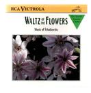 Cd waltz of the flowers: capriccio italien
