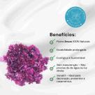 Cebolão Rosa Desidratado