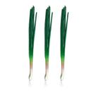 Cebolas verdes artificiais WDONAY PU Lifelike Cebolinhas x3 Cebolas verdes artificiais WDONAY PU Lifelike Cebolinhas x3