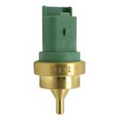 Cebolinha Temperatura 208 2014/2016 - 38796 - 4111