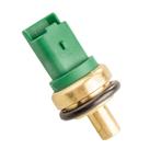 Cebolinha Temperatura 406 2000/2004 - 38830 - 4083