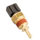 Cebolinha Temperatura HB20 2012/2017 - 39490 - 4162