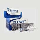 Cefavet 10ML - CEVA