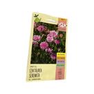 Centaurea Serenata - 300mg de Sementes / Flores