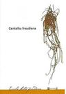 Centelha Freudiana