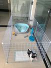 Cercado para cachorro de médio e pequeno porte cód: 3141