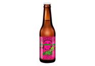 Cerveja Catharina Sour Abacaxi Com Hortelã Dama Bier 355ml