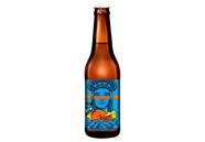 Cerveja Catharina Sour Com Tangerina e Gengibre Dama Bier 355ml