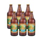 Cerveja Imbé com Butiá 600ml Kit 6 unidades