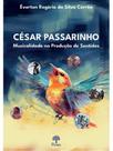 César passarinho - musicalidade na produção de sentidos