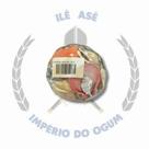 Cesta de Conchas - Mini