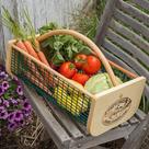 Cesto de Colheita Maine Garden Products 48 x 28 x 16 cm 2,5 kg