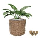 Cesto Decorativo Cachepot Redondo Em Fibra Natural Seagrass Com Forro Plástico Impermeável Cesto Decorativo Cachepot Redondo Em Fibra Natural Seagrass Com Forro Plástico Impermeável