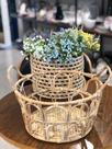 Cesto decorativo de rattan com alca nature 37cm x 30cm x 18,5cm