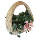 Cesto em Rattan White 38x25,5x40cm