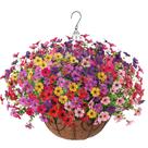 Cesto Suspenso de Flores Artificiais HyeFlora Margarida para Área Externa Cesto Suspenso de Flores Artificiais HyeFlora Margarida para Área Externa