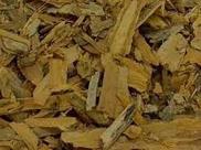 Chá Bálsamo Casca 100g Myroxylon Peruiferum