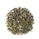 Cha Branco 100g Camellia sinensis LondriNutri