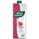 Chá Branco Sabor Pitaya Feel Good 1l