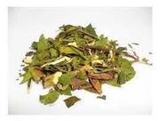 Chá de Aroeira Mansa Folhas 100g - Schinus Terebinthifolia