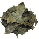 Chá de Bugre 1Kg (Cordia salicifolia)