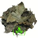 Chá de Bugre 500Gr (Erva seca)