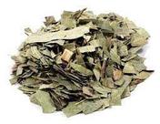 Chá de Eucalipto Citriodora 100g - Cheiroso para Sauna