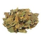 Chá de Folhas de Abacateiro (Persea gratissima) 100g