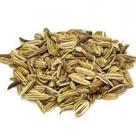Chá de Funcho (Foeniculum vulgare) 100g - Sementes Naturais