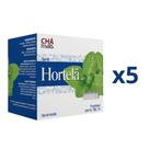 Chá de Hortelã Kit com 5 Caixas de 10 Sachês cada