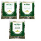 Chá de Pitanga Kit 3 Pacotes Chamel